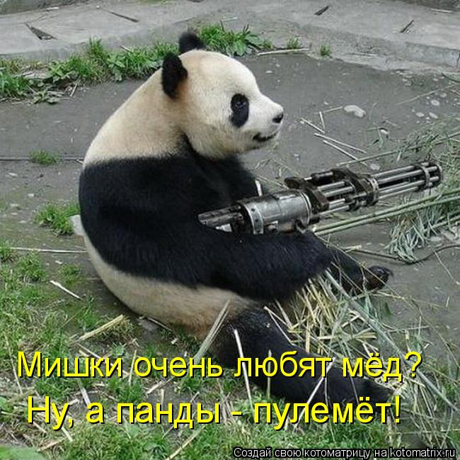 Мишки очень любят мёд? Ну, а панды - пулемёт!... Котоматрица: Мишки очень любят мёд? Ну, а панды - пулемёт!