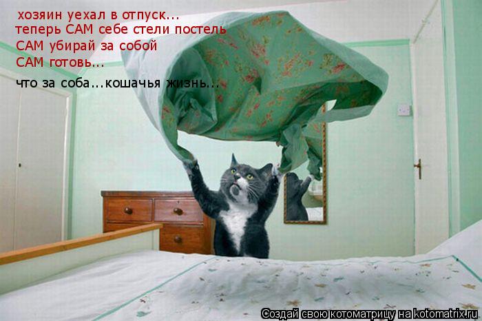 хозяин уехал в отпуск... теперь САМ себе стели постель САМ убирай за собой САМ готовь... что за соба.... Котоматрица: хозяин уехал в отпуск... теперь САМ себе стели постель САМ убирай за собой САМ готовь... что за соба...кошачья жизнь...