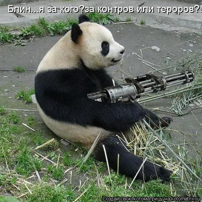 Котоматрица: Блин...я за кого?за контров или тероров?!
