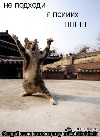 Котоматрица: не подходи я псииих  !!!!!!!!!