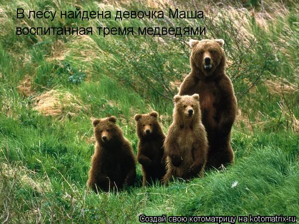 Котоматрица: В лесу найдена девочка Маша, воспитанная тремя медведями