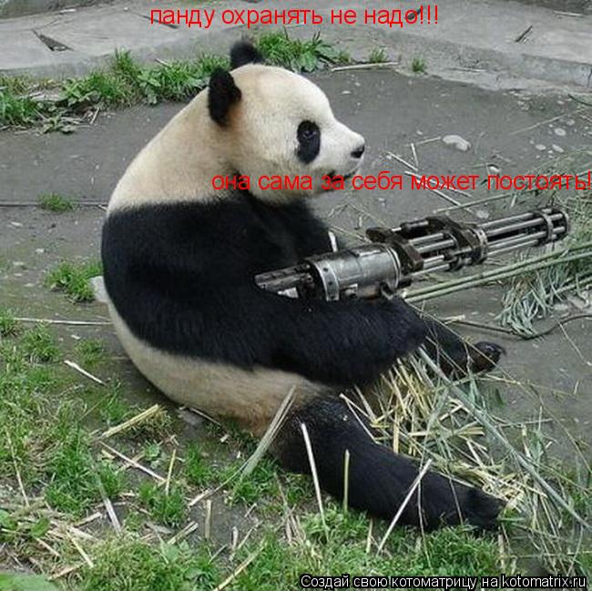 Котоматрица: панду охранять не надо!!! она сама за себя может постоять!!!
