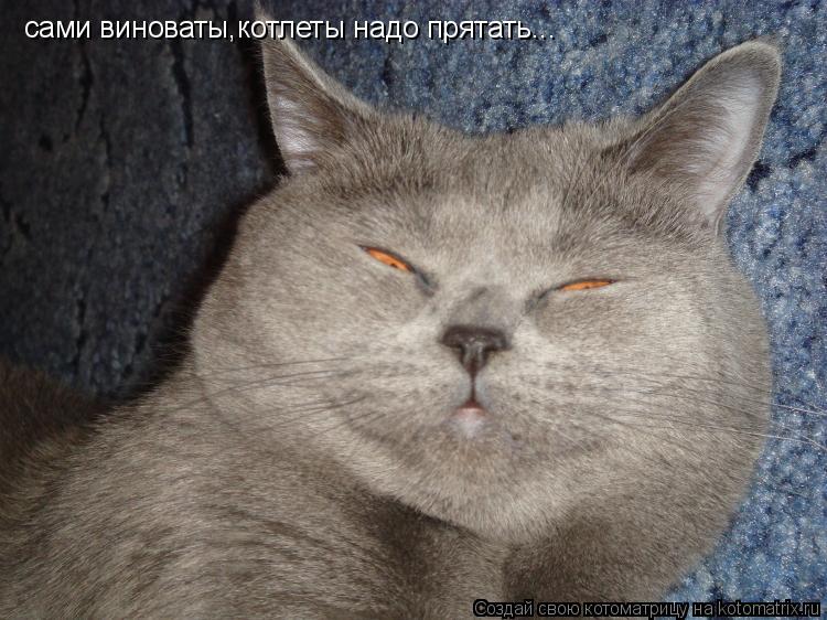 Котоматрица: сами виноваты,котлеты надо прятать...