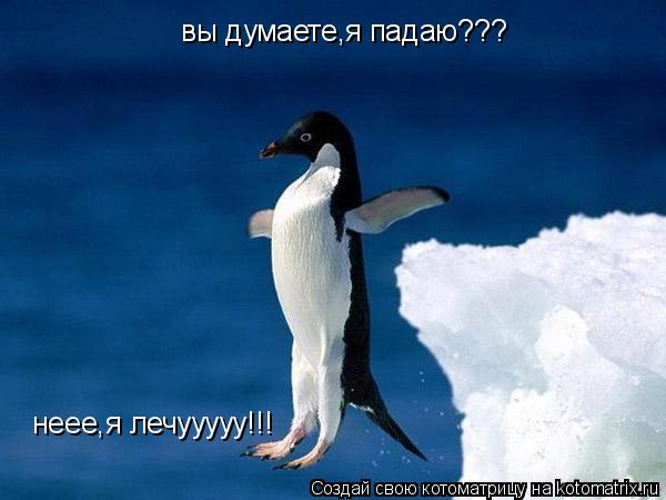 вы думаете,я падаю??? неее,я лечууууу!!!... Котоматрица: вы думаете,я падаю??? неее,я лечууууу!!!