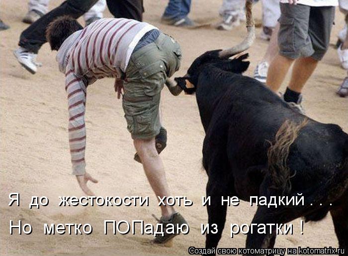 Котоматрица: Но  метко  ПОПадаю  из  рогатки !     Я  до  жестокости  хоть  и  не  падкий . . .