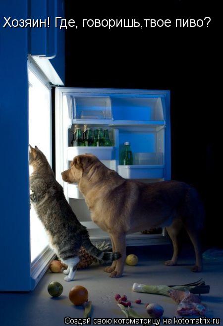 Котоматрица: Хозяин! Где, говоришь,твое пиво?