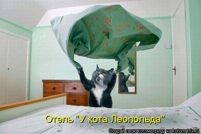 Отель "У кота Леопольда"... Котоматрица: Отель "У кота Леопольда"