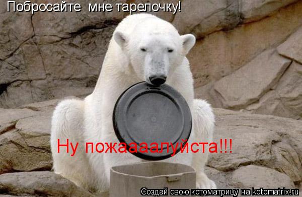 Побросайте мне тарелочку! Ну пожаааалуйста!!!... Котоматрица: Побросайте мне тарелочку! Ну пожаааалуйста!!!