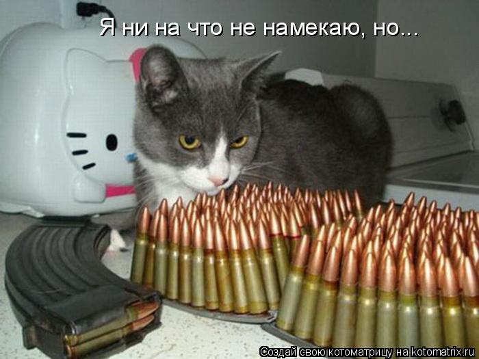 Котоматрица: Я ни на что не намекаю, но...