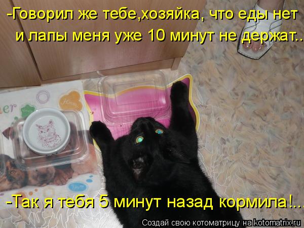 -Говорил же тебе,хозяйка, что еды нет и лапы меня уже 10 минут не держат.... -Так я тебя 5 минут наз... Котоматрица: -Говорил же тебе,хозяйка, что еды нет и лапы меня уже 10 минут не держат.... -Так я тебя 5 минут назад кормила!...