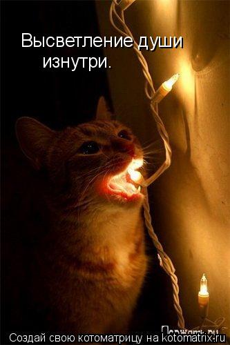 Котоматрица: Высветление души изнутри.