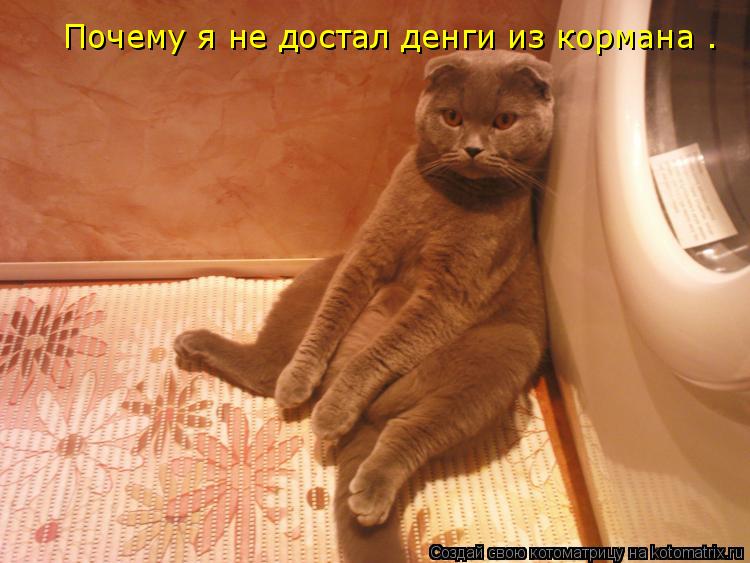 Котоматрица: Почему я не достал денги из кормана .