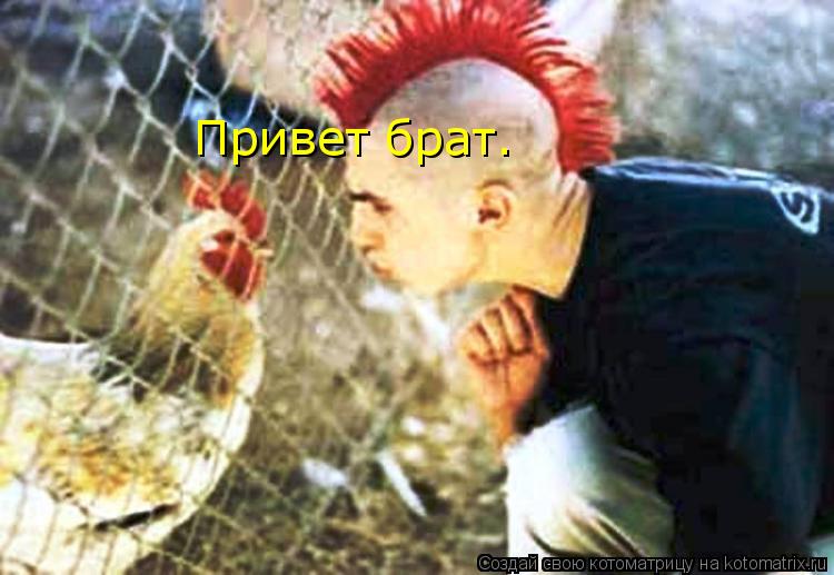 Котоматрица: Привет брат.