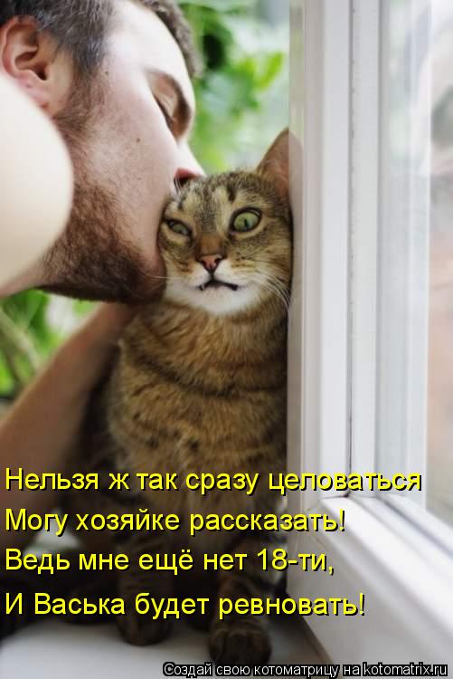 Нельзя ж так сразу целоваться Ведь мне ещё нет 18-ти, И Васька будет ревновать! Могу хозяйке рассказа... Котоматрица: Нельзя ж так сразу целоваться Ведь мне ещё нет 18-ти, И Васька будет ревновать! Могу хозяйке рассказать!