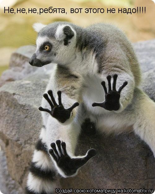 Не,не,не,ребята, вот этого не надо!!!!... Котоматрица: Не,не,не,ребята, вот этого не надо!!!!