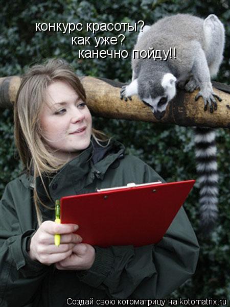 конкурс красоты? как уже? канечно пойду!! канечно пойду!!... Котоматрица: конкурс красоты? как уже? канечно пойду!! канечно пойду!!