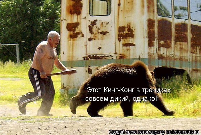 Этот Кинг-Конг в трениках совсем дикий, однако!... Котоматрица: Этот Кинг-Конг в трениках совсем дикий, однако!