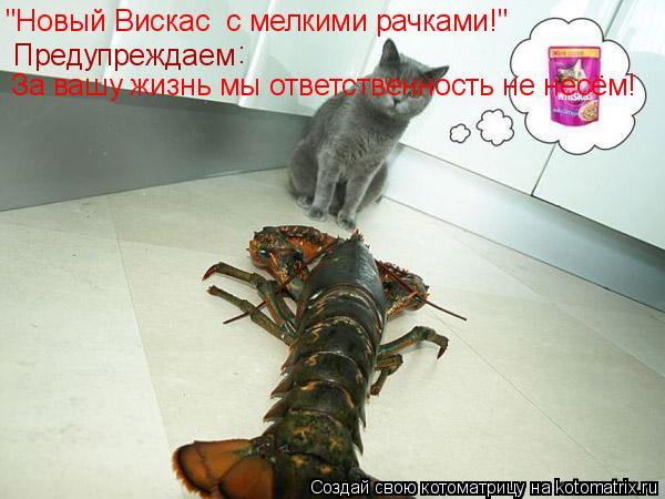 "Новый Вискас с мелкими рачками!" За вашу жизнь мы ответственность не несём! Предупреждаем :... Котоматрица: "Новый Вискас с мелкими рачками!" За вашу жизнь мы ответственность не несём! Предупреждаем :
