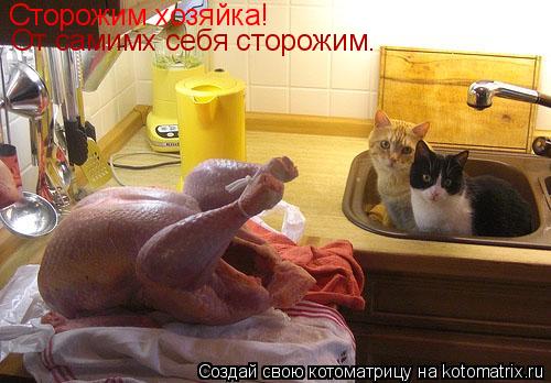 Сторожим хозяйка! От самимх себя сторожим.... Котоматрица: Сторожим хозяйка! От самимх себя сторожим.