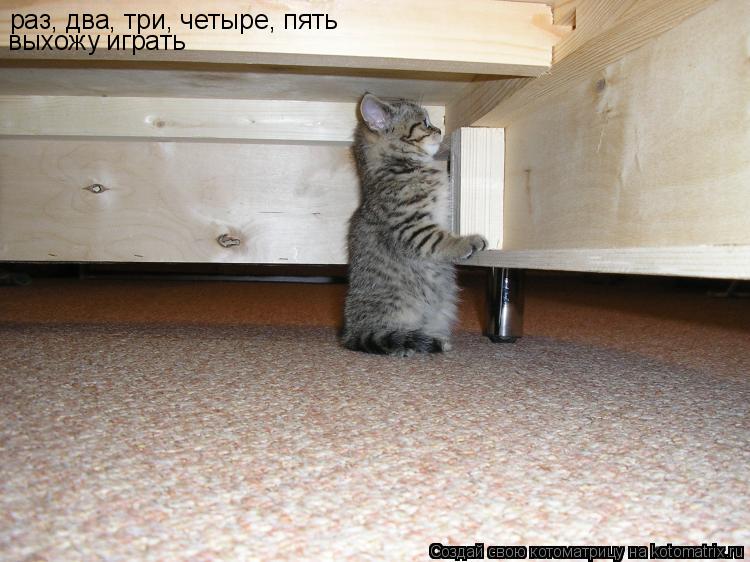 раз, два, три, четыре, пять выхожу играть... Котоматрица: раз, два, три, четыре, пять выхожу играть