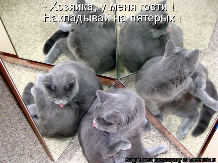 - Хозяйка, у меня гости ! Накладывай на пятерых !... Котоматрица: - Хозяйка, у меня гости ! Накладывай на пятерых !