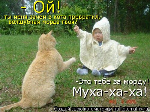 - Ой! ты меня зачем в кота превратил, волшубная морда твоя? -Это тебе за морду! Муха-ха-ха!... Котоматрица: - Ой! ты меня зачем в кота превратил, волшубная морда твоя? -Это тебе за морду! Муха-ха-ха!