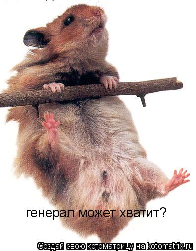 генерал может хватит?... Котоматрица: генерал может хватит?