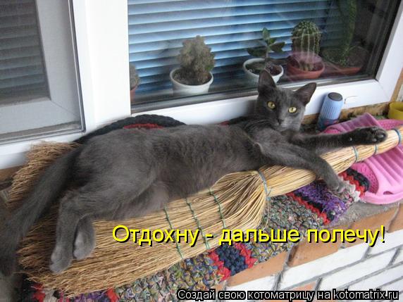 Отдохну - дальше полечу!... Котоматрица: Отдохну - дальше полечу!