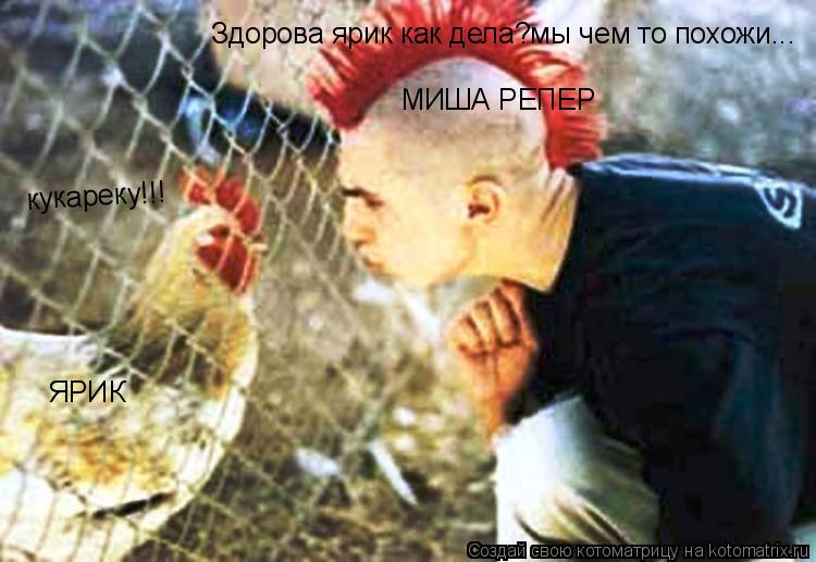 Котоматрица: ЯРИК МИША РЕПЕР Здорова ярик как дела?мы чем то похожи... кукареку!!! кукареку!!!