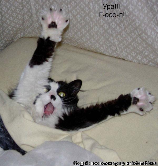 Котоматрица: Ура!!!  Г-ооо-л!!!
