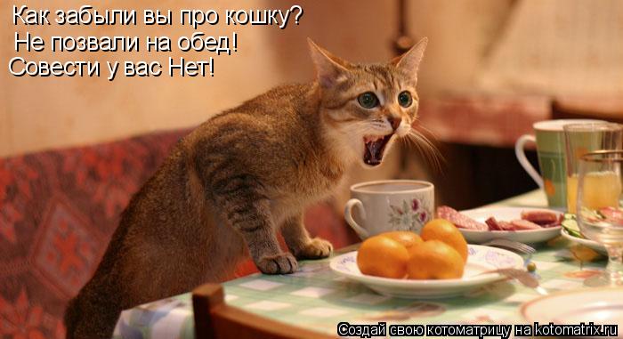 Котоматрица: Как забыли вы про кошку? Не позвали на обед! Совести у вас Нет!