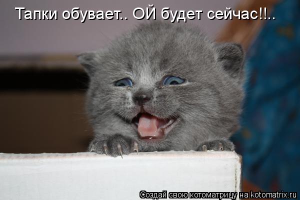 Котоматрица: Тапки обувает.. ОЙ будет сейчас!!..
