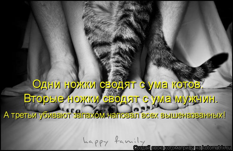 Одни ножки сводят с ума котов. Вторые ножки сводят с ума мужчин. А третьи убивают запахом наповал все... Котоматрица: Одни ножки сводят с ума котов. Вторые ножки сводят с ума мужчин. А третьи убивают запахом наповал всех вышеназванных!
