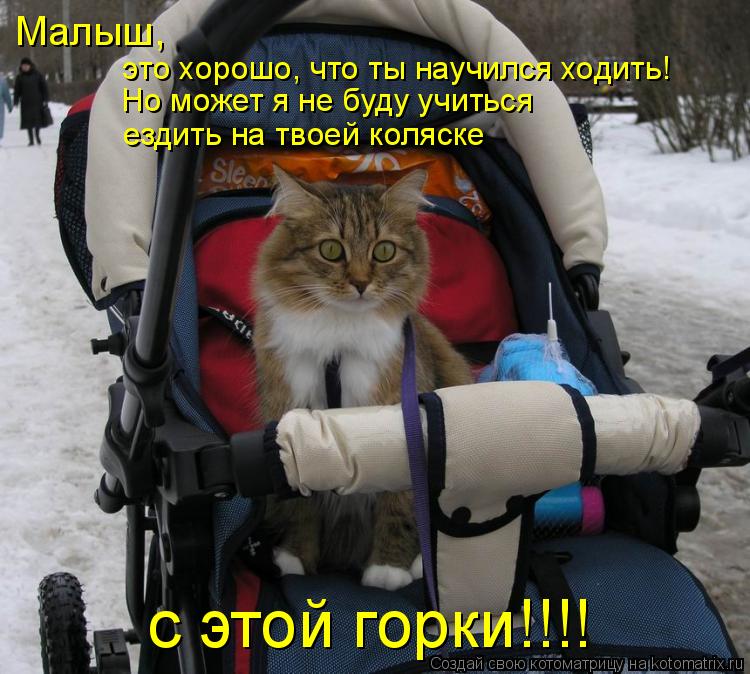 Котоматрица: Малыш,  это хорошо, что ты научился ходить! Но может я не буду учиться  ездить на твоей коляске с этой горки!!!!