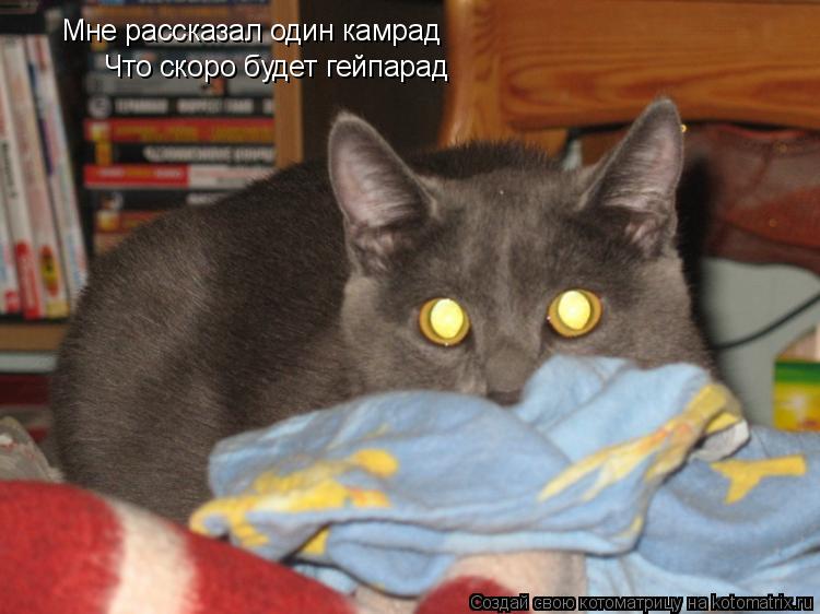Мне рассказал один камрад Что скоро будет гейпарад... Котоматрица: Мне рассказал один камрад Что скоро будет гейпарад