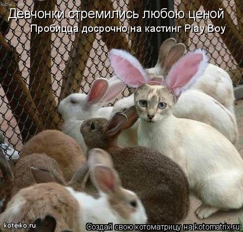 Девчонки стремились любою ценой Пробицца досрочно на кастинг Play Boy... Котоматрица: Девчонки стремились любою ценой Пробицца досрочно на кастинг Play Boy
