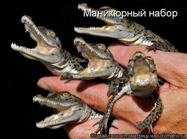Маникюрный набор... Котоматрица: Маникюрный набор