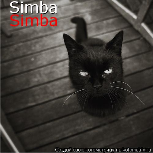 Simba Simba... Котоматрица: Simba Simba