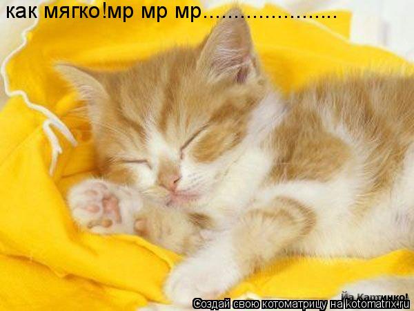 как мягко!мр мр мр......................... Котоматрица: как мягко!мр мр мр......................