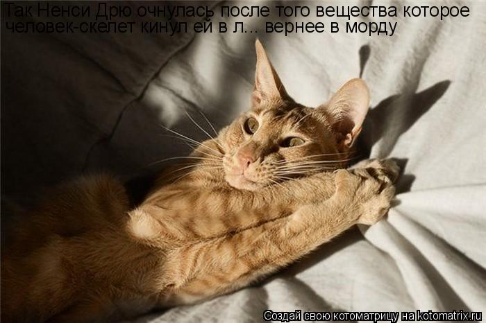 Котоматрица: Так Ненси Дрю очнулась после того вещества которое человек-скелет кинул ей в л... вернее в морду