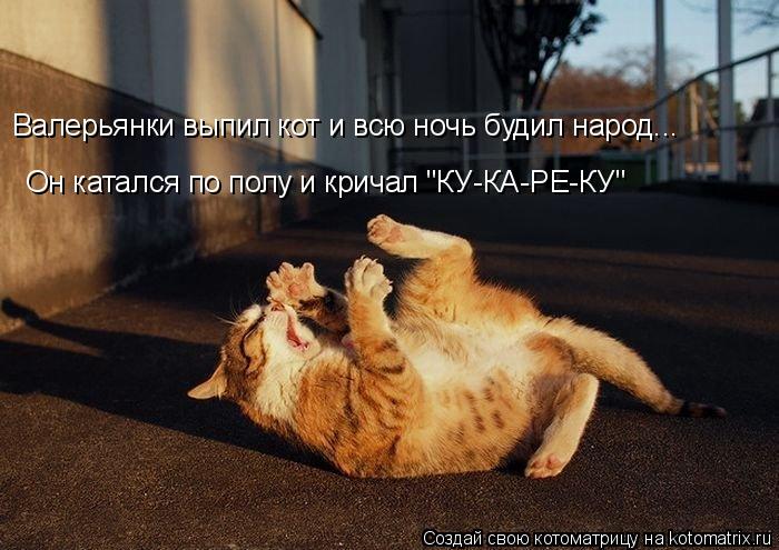 Котоматрица: Он катался по полу и кричал "КУ-КА-РЕ-КУ" Валерьянки выпил кот и всю ночь будил народ...