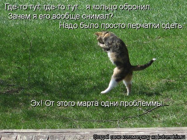 Котоматрица: Где-то тут, где-то тут... я кольцо обронил... Зачем я его вообще снимал?  Надо было просто перчатки одеть. Эх! От этого марта одни проблеммы.