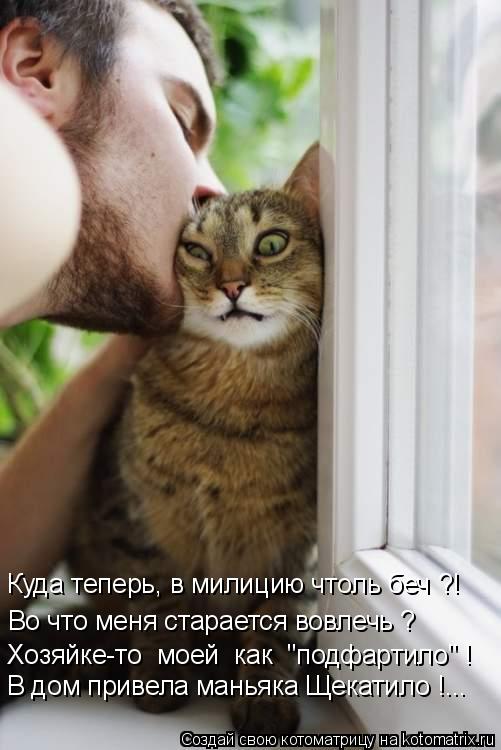 Котоматрица: Куда теперь, в милицию чтоль беч ?! Во что меня старается вовлечь ? Хозяйке-то  моей  как  "подфартило" ! В дом привела маньяка Щекатило !...