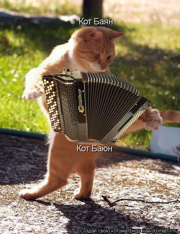 Котоматрица: Кот Баян Кот Баюн