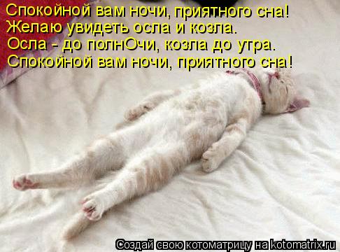 Спокойной вам ночи, приятного сна! Желаю увидеть осла и козла. Осла - до полнОчи, козла до утра. Спок... Котоматрица: Спокойной вам ночи, приятного сна! Желаю увидеть осла и козла. Осла - до полнОчи, козла до утра. Спокойной вам ночи, приятного сна!