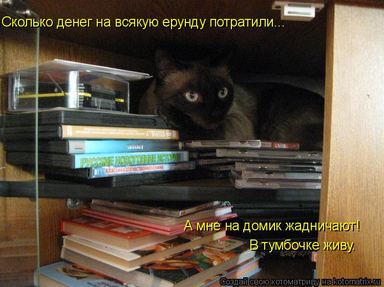 Котоматрица: Сколько денег на всякую ерунду потратили... А мне на домик жадничают! В тумбочке живу.