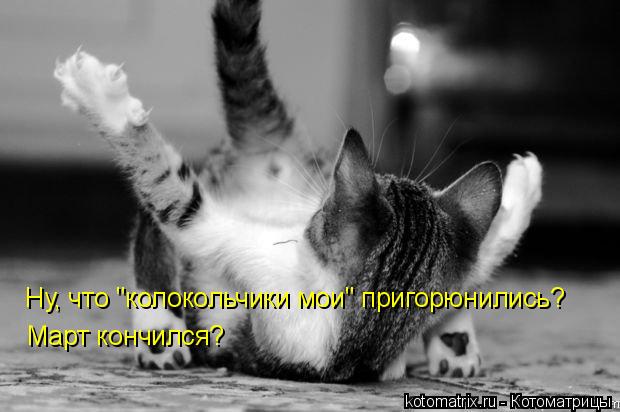 Ну, что "колокольчики мои" пригорюнились? Март кончился?... Котоматрица: Ну, что "колокольчики мои" пригорюнились? Март кончился?