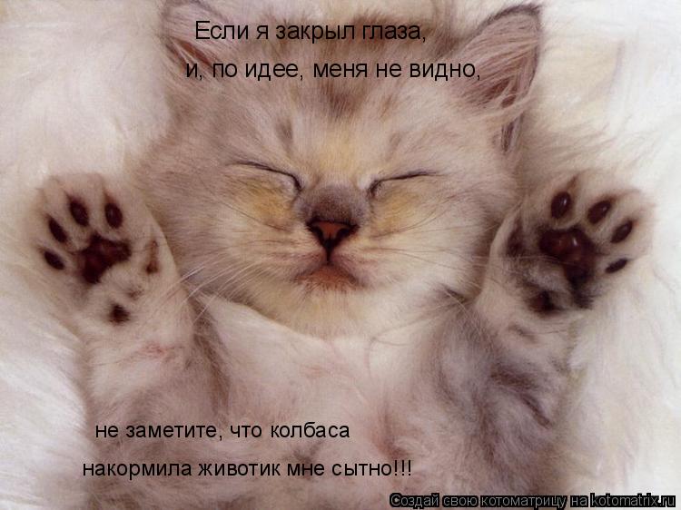 Котоматрица: Если я закрыл глаза,  и, по идее, меня не видно, накормила животик мне сытно!!! не заметите, что колбаса
