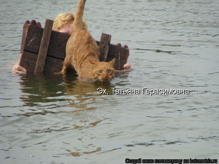 Эх, Татьяна Герасимовна....... Котоматрица: Эх, Татьяна Герасимовна....