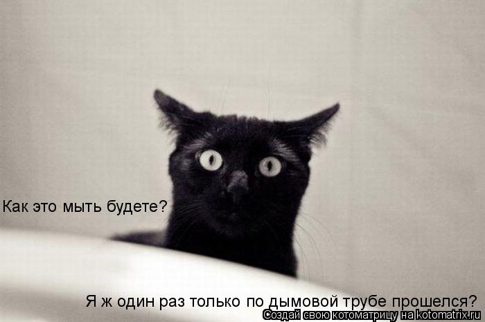Котоматрица: Как это мыть будете? Я ж один раз только по дымовой трубе прошелся?